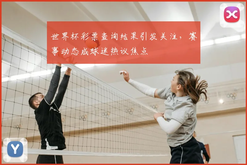 世界杯彩票查询结果引发关注,赛事动态成球迷热议焦点