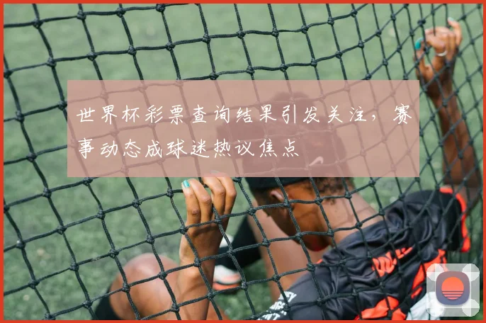 世界杯彩票查询结果引发关注，赛事动态成球迷热议焦点