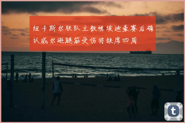 纽卡斯尔联队主教练埃迪豪赛后确认威尔逊腿筋受伤将缺席四周