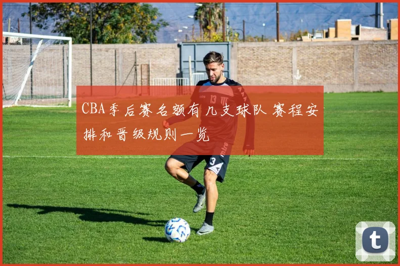 CBA季后赛名额有几支球队 赛程安排和晋级规则一览