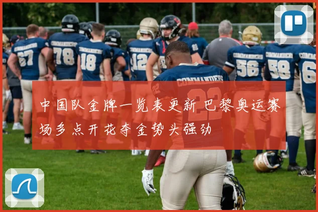 中国队金牌一览表更新 巴黎奥运赛场多点开花夺金势头强劲
